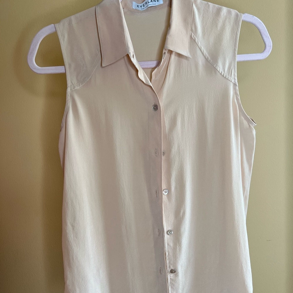 Everlane Silk Sleeveless Button Down - Blush
